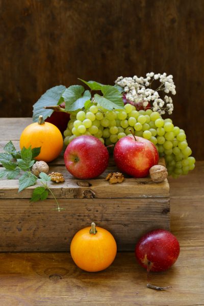fruits-and-pumpkins-ZEDH643 (1) fruits-and-pumpkins-ZEDH643 (1)